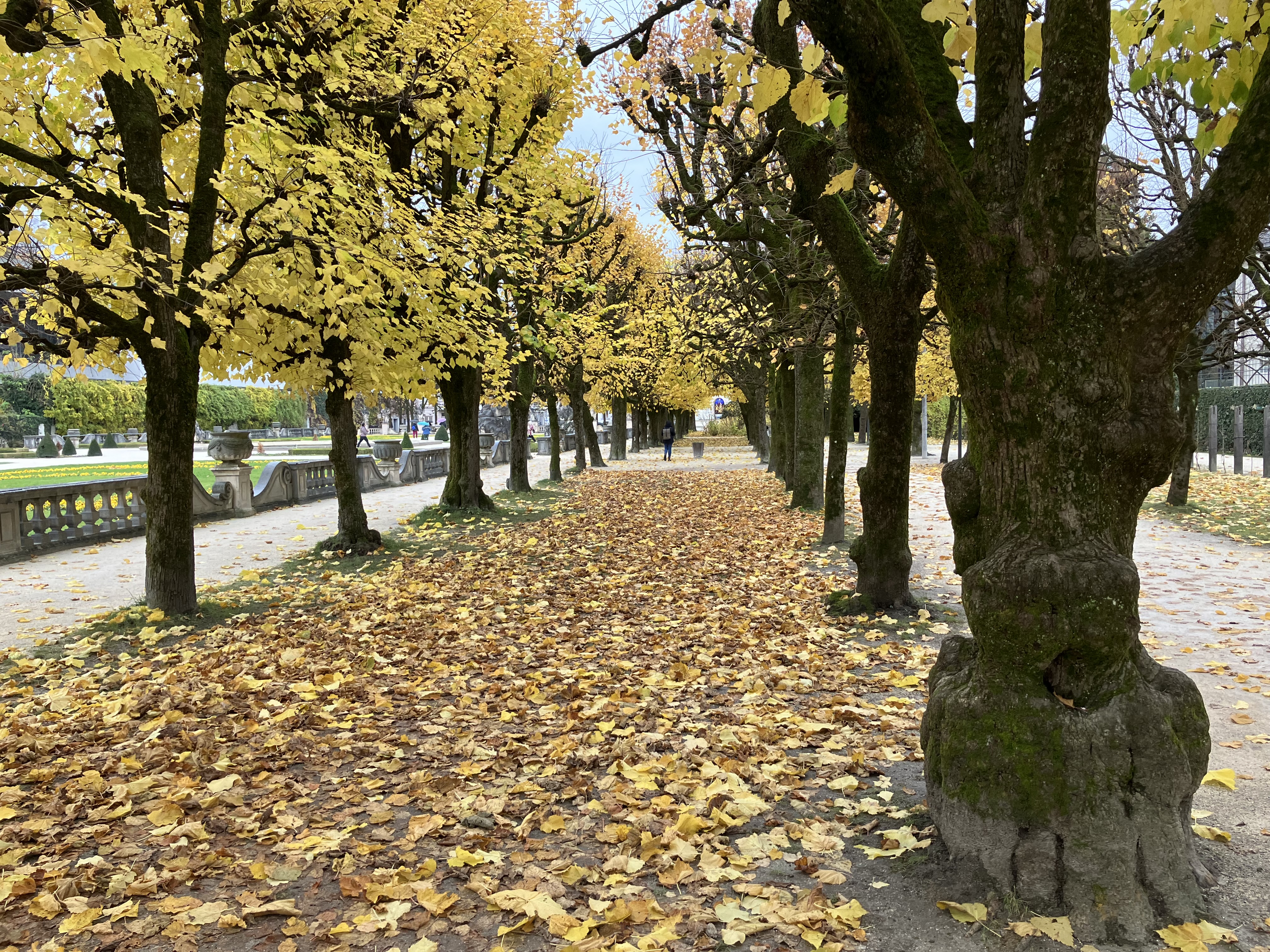 Sonbaharda Salzburg: bahçelerden eski şehre, oradan manzaraya